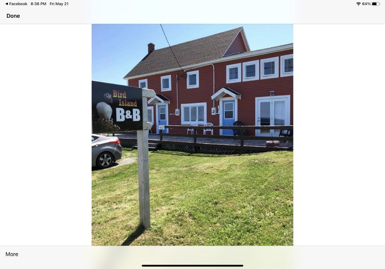 Bird Island B&B Bed And Bubble Elliston Екстериор снимка
