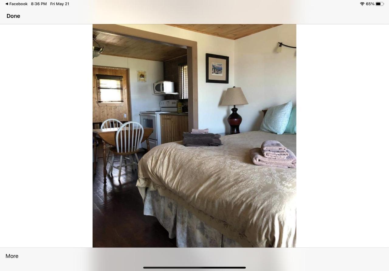 Bird Island B&B Bed And Bubble Elliston Екстериор снимка