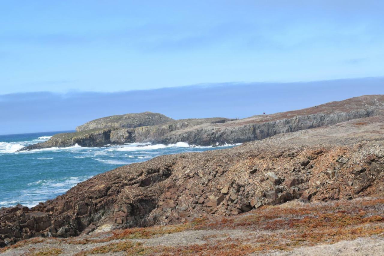 Bird Island B&B Bed And Bubble Elliston Екстериор снимка
