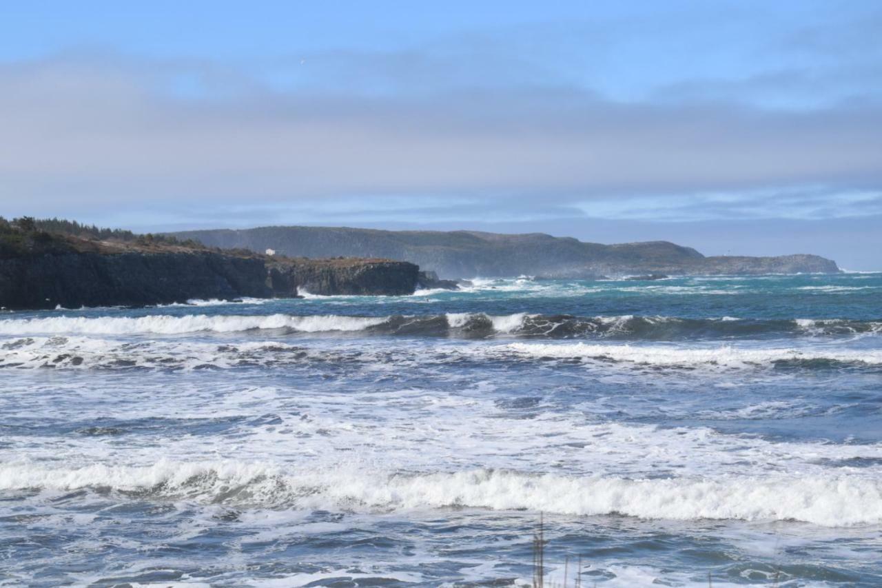 Bird Island B&B Bed And Bubble Elliston Екстериор снимка